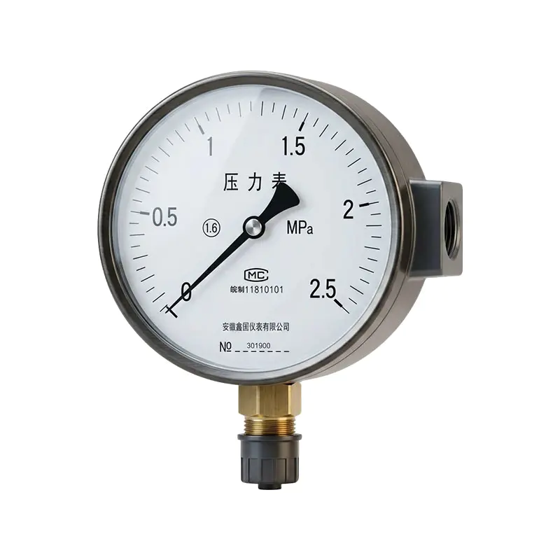 XG/YA -100 、 150 series na panukat ng presyon ng ammonia XG/YA -100 、 150 series na panukat ng presyon ng ammonia