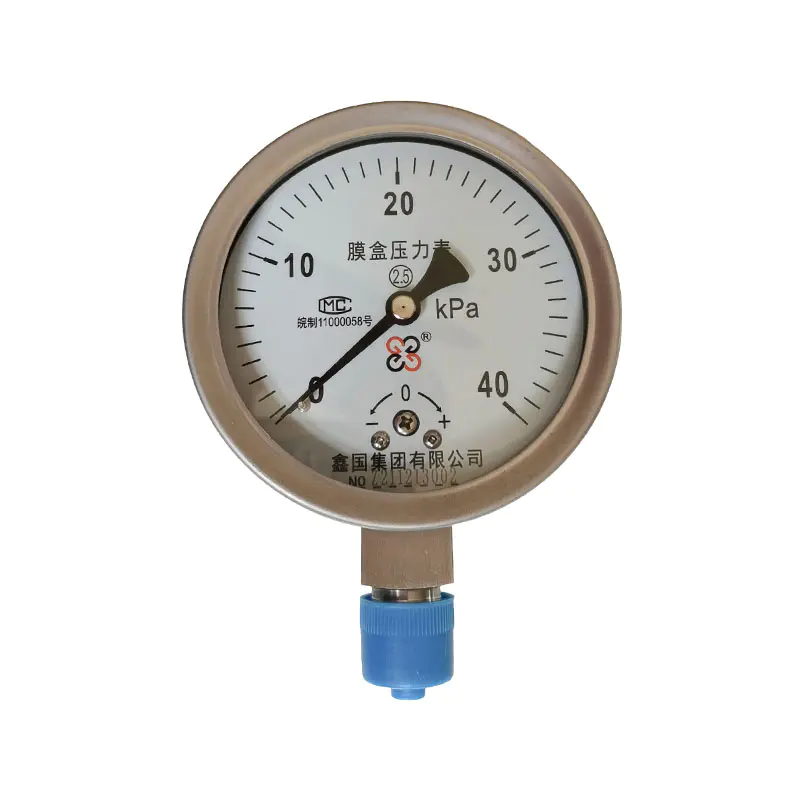 XG/YE-100, 150 series na diaphragm box pressure gauge