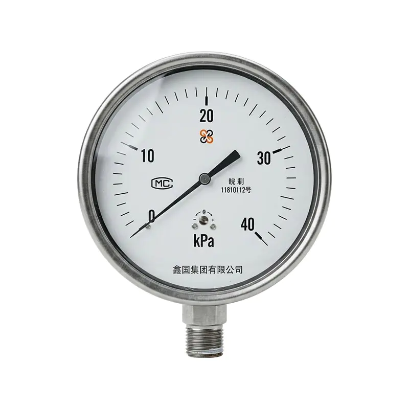 XG/YE-100B hindi kinakalawang na asero diaphragm box pressure gauge XG/YE-100B hindi kinakalawang na asero diaphragm box pressure gauge