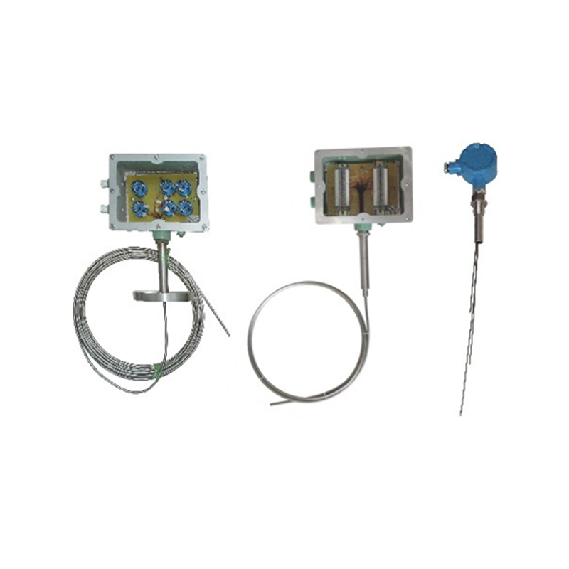 Multi-point Explosion-Proof RTD